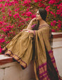 Chiku Banarasi Silk Saree With Zari Weaving Work