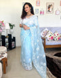 Light Blue Pure Organza Saree With Embroidery Work
