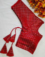Red Banarasi Silk With Silver Zari Weaving Blouse