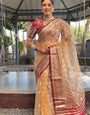 Graceful Ready To Wear Soft Organza Silk Saree With Blouse Piece