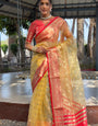 Graceful Ready To Wear Soft Organza Silk Saree With Blouse Piece