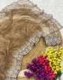 Light Brown Organza Saree With Embroidery Thread Work