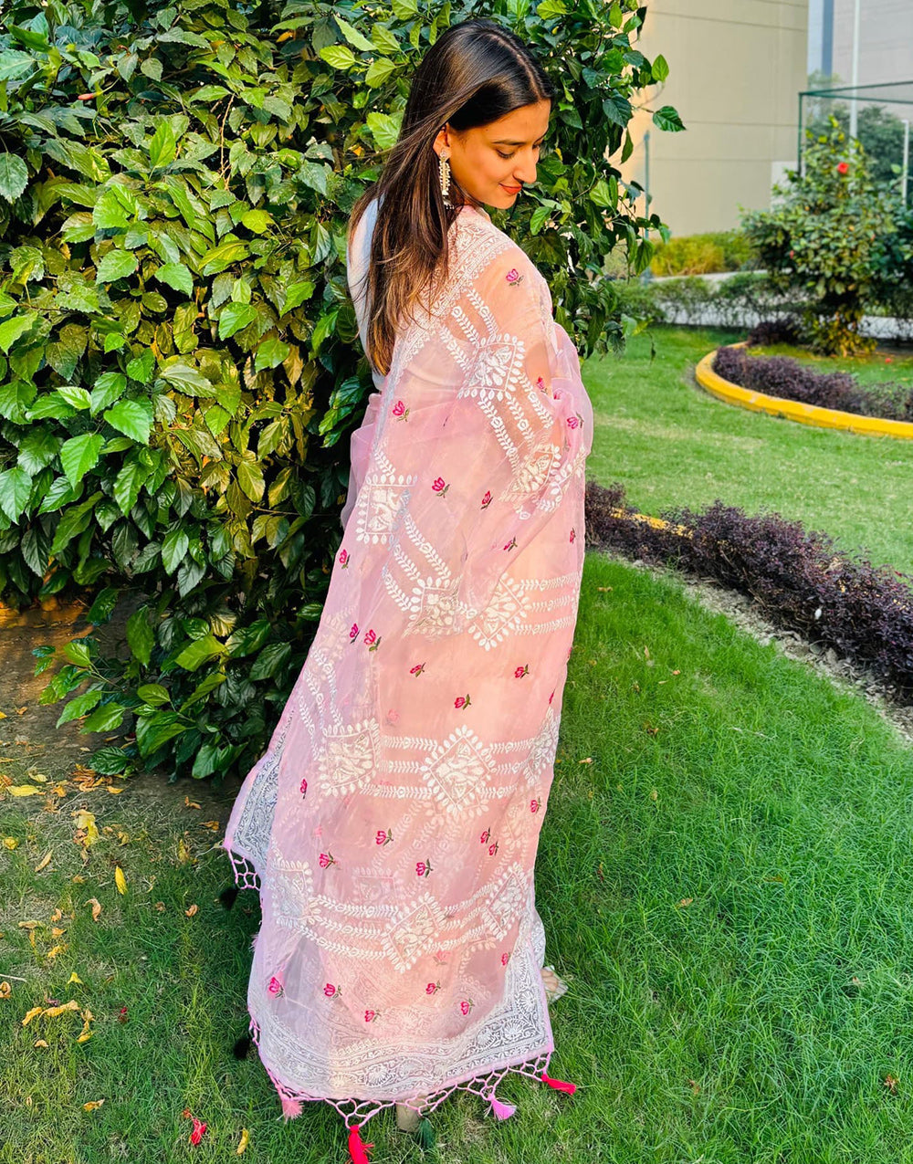 Light Pink Organza Saree With Embroidery Work