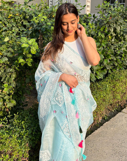 Sky Blue Organza Saree With Embroidery Work