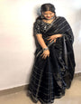 Black Organza Saree With Embroidery & Sequence Work
