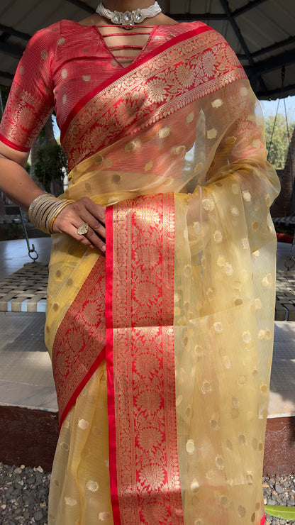 Graceful Ready To Wear Soft Organza Silk Saree With Blouse Piece