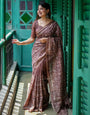 Light Brown Tussar Silk Saree With Embroidery Work