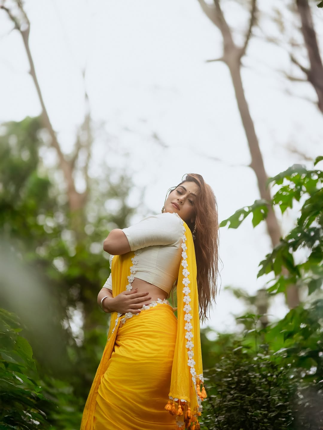 Premium quality summer silk saree