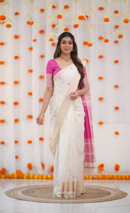 SAREEWAVE PRESENT BANARASI SOFT SILK SAREE