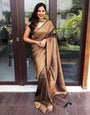 Beautiful Copper Colour Banarasi Soft Silk Saree