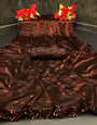 Brown Heavy Simran Titly Silk With Sequence Work Border