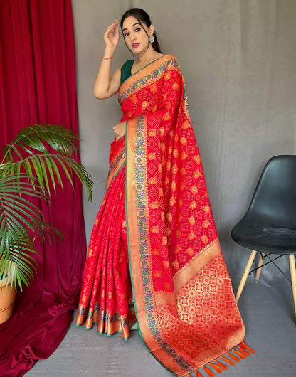 Red Pure Katchhi Patola Silk Saree With Meenakari Border