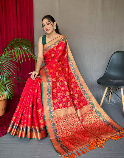 Red Pure Katchhi Patola Silk Saree With Meenakari Border